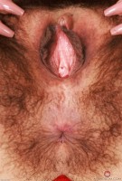 ATK hairy Zoey Jpeg Set