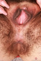 ATK hairy Zoey Jpeg Set