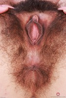 ATK hairy Zoey Jpeg Set