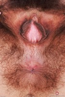 ATK hairy  in hairy fun