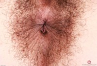 ATK hairy  in young and hairy