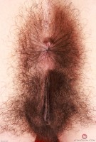 ATK hairy Zoey Jpeg Set