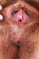 ATK hairy Zoey Jpeg Set