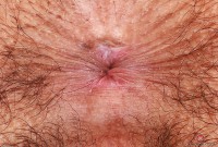 ATK hairy Zoey Jpeg Set