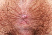 ATK hairy Zoey Jpeg Set