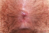 ATK hairy Zoey Jpeg in young and hairy