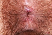 ATK hairy Zoey Jpeg Set