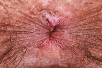 ATK hairy Zoey Jpeg Set