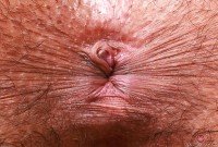 ATK hairy Zoey Jpeg Set