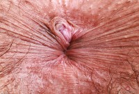 ATK hairy Zoey Jpeg Set