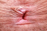 ATK hairy Zoey Jpeg Set