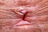 ATK hairy Zoey Jpeg Set