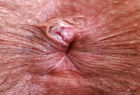 ATK hairy Zoey Jpeg in young and hairy