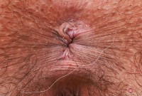 ATK hairy Zoey Jpeg Set