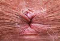 ATK hairy Zoey Jpeg Set