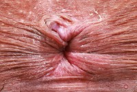 ATK hairy Zoey Jpeg Set