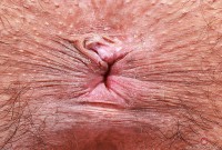 ATK hairy Zoey Jpeg Set