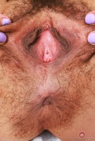 ATK hairy Zoey Jpeg Set