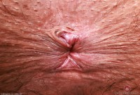 ATK hairy Zoey Jpeg Set