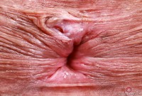 ATK hairy Zoey Jpeg Set